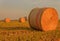 Close-up of a hay cylindrical bale in a farmland