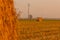 Close-up of a hay cylindrical bale in a farmland