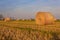 Close-up of a hay cylindrical bale in a farmland