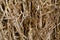 Close-up hay texture. Stacked hay bale.