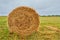 Close-up haystack in the form of rolls on an agricultural field