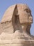 Close up Head shot in profile of the Sphinx statue  Giza  Egypt