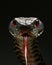 Close-up of the head of a snake on a black background