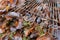 Close up of the head and tines of a garden rake sweeping brown leaves