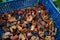 Close up of healthy dried fruits in crate. Pile of domestic sundried organic fruits outdoors in garden.