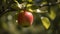 close-up of a healthy ripe apple hanging from a tree bran generative AI