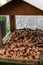 Close up of a heap of hazelnuts in a hut.