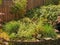 Close up of Herb Garden beds in a backyard