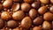 A close-up, highly detailed shot of argan nuts, showcasing their rich textures and colors. Concept: natural products, organic