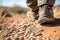 a close-up of a hiking boot stepping on an arid trail