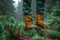 Close-up of hiking boots in rain, forest ground
