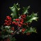 Close up of holly and red berries on black background, created using generative ai technology