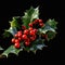 Close up of holly and red berries on black background, created using generative ai technology