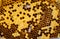 Close up honey bee hive pattern. orange colour, nature backgound texture