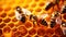 Close-up of Honey Bees on Honeycomb in Beehive AI Generated