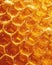 Close Up of Honey Cells