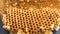 Close up honey nest pattern. orange colour, nature backgound texture