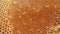 Close up honey nest pattern. orange colour, nature backgound texture