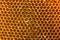 close up Honeycomb bee home