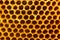 close up Honeycomb bee home