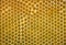 Close up of a honeycomb in beehive, yellow abstract texture and background