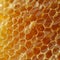 Close Up of Honeycomb Cells