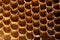 Close up of Honeycombs Cells