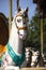 Close-up of a Horse on the Carousel de Paris