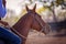 Close Up Of Horse Competing In A Country Rodeo