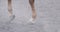 Close-up of horse hooves walking on sandy ground