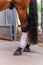 Close-up of horse legs with white bandages in a stable. Concepts of horse grooming, competition preparation in dressage riding