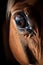A close-up of a horse\\\'s eye, highlighting its beauty and majestic nature AI generated