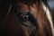 A close-up of a horse\\\'s eye, highlighting its beauty and majestic nature AI generated