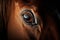 A close-up of a horse\\\'s eye, highlighting its beauty and majestic nature AI generated