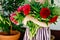 Close-up of huge bouquet of blossoming red and pink peony flowers holding in hands of little toddler girl. Close up of