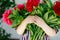 Close-up of huge bouquet of blossoming red and pink peony flowers holding in hands of little toddler girl. Close up of