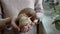 Close-up, a huge house snail crawls on the hands of a young girl who is standing at a window inside the house. Faceless