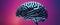 Close-up human brain against vibrant colored background, intricate textures brains anatomy