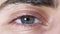 Close-up of human eyes. Beautiful eye of young man with pupil shrinking from light. Human eye gray and brown shade with