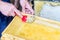 Close up of human hand extracting honey from honeycomb