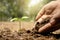 Close-up of a human hand holding a seedling including planting seedlings, Earth Day concept.