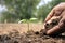 Close-up of a human hand holding a seedling including planting seedlings, Earth Day concept.