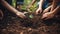 Close up human hands planting trees environment restoration.