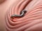 close up of a human worm, 3d illustration