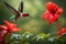 A close-up of a hummingbird hovering next to a vibrant red hibiscus flower