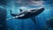 Close up of a Humpback Whale swimming in the deep Ocean. Natural Background with beautiful Lighting