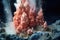 close-up of a hydrothermal vent releasing hot water