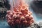 close-up of hydrothermal vent spewing mineral-rich water