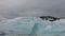 Close-up ice floes against the background of the cloudy sky.