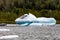 Close up icebergs in the waters of Alaska from the glacier